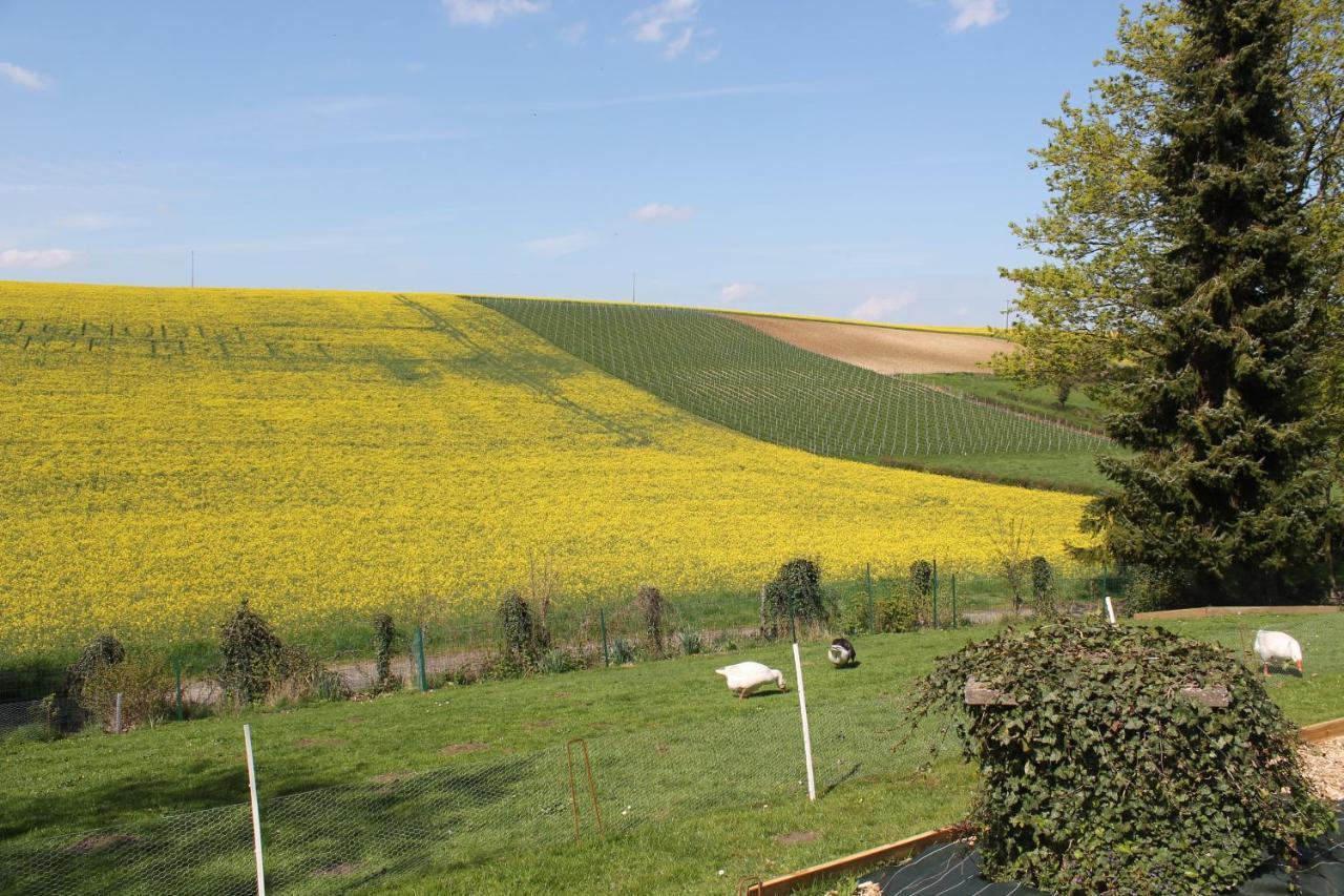 Bed and Breakfast Happy & Relax à Mentque-Nortbecourt Extérieur photo